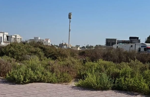 Prime Residential Land in Al Mamzer